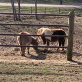 Review photo of Kick Back Ranch & Event Center, LLC by Pete G., May 29, 2025