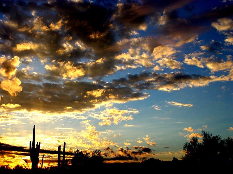 Camper-submitted photo at Holiday Palms RV Resort near Parker, AZ