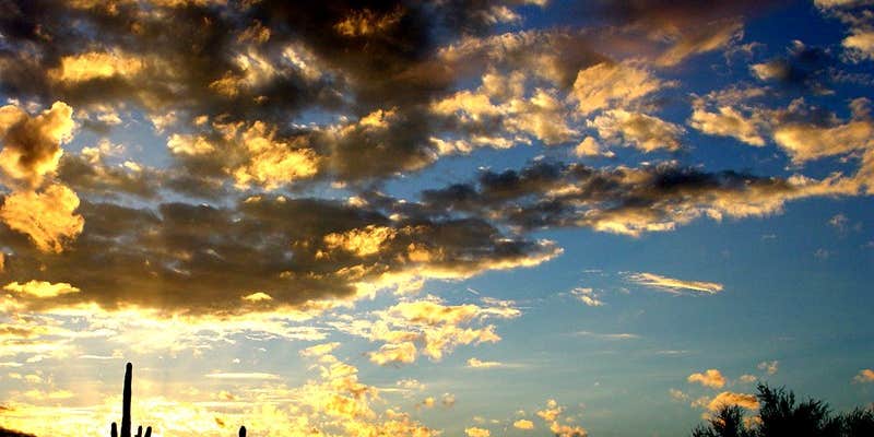 Camper submitted image from Holiday Palms RV Resort