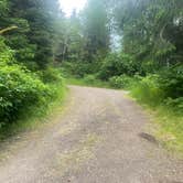 Review photo of Forest Road 51 near Beaver Creek by Emma T., May 29, 2025