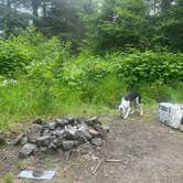 Review photo of Forest Road 51 near Beaver Creek by Emma T., May 29, 2025