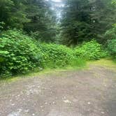 Review photo of Forest Road 51 near Beaver Creek by Emma T., May 29, 2025