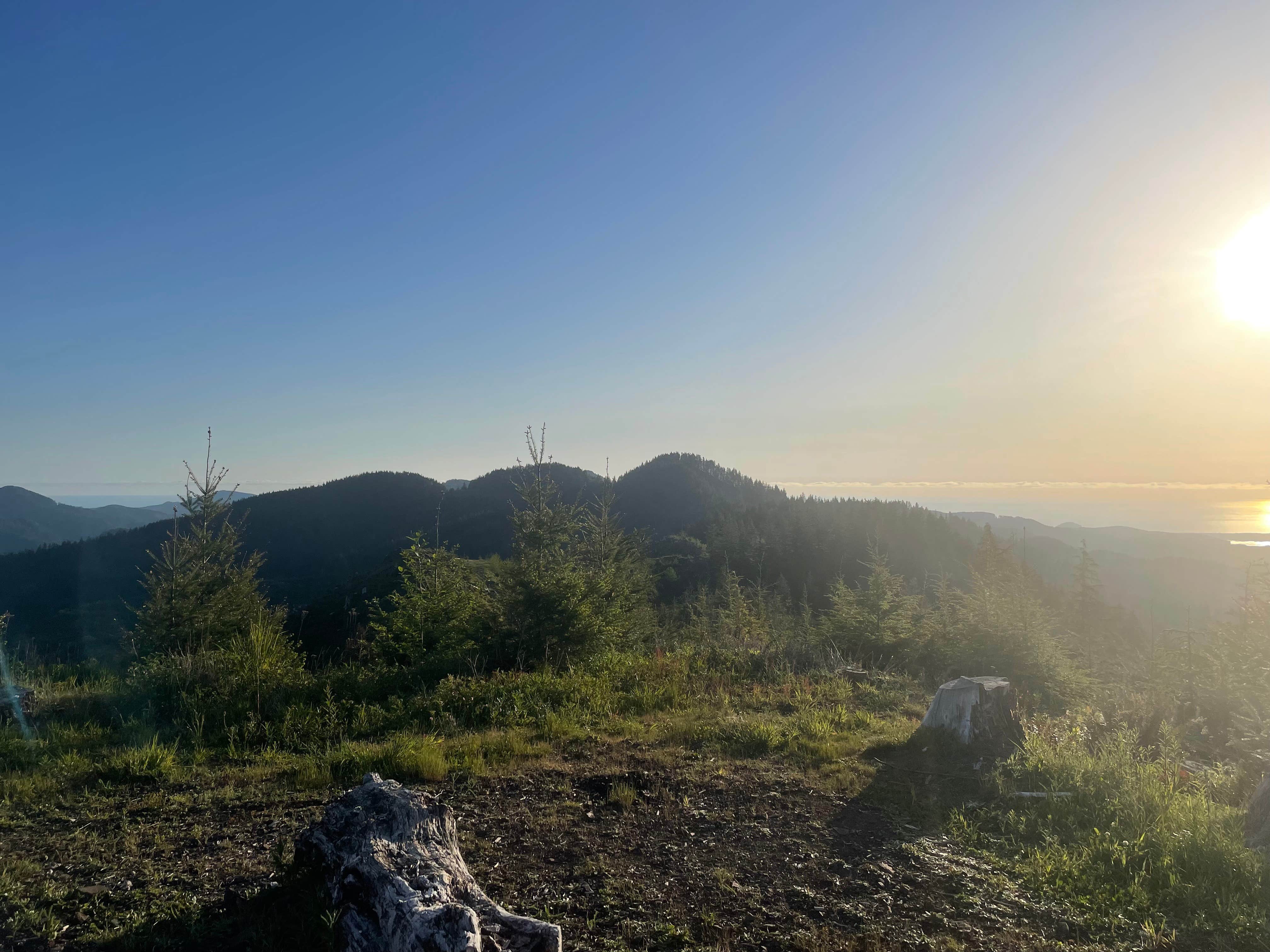Camper-submitted photo at Scenic Overlook Dispersed Camp near Foley Creek near Hillsboro, OR