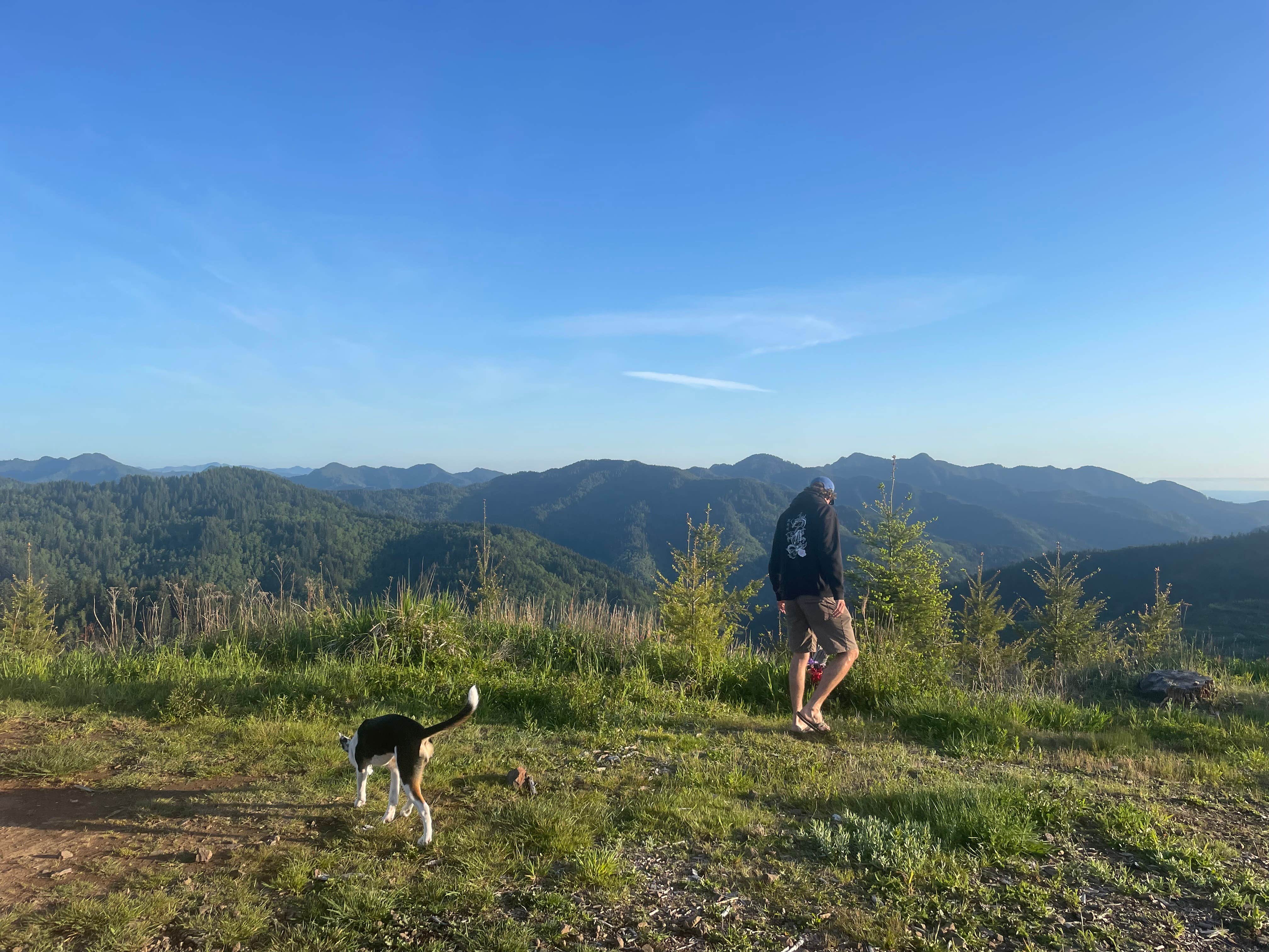 Camper-submitted photo at Scenic Overlook Dispersed Camp near Foley Creek near Hillsboro, OR