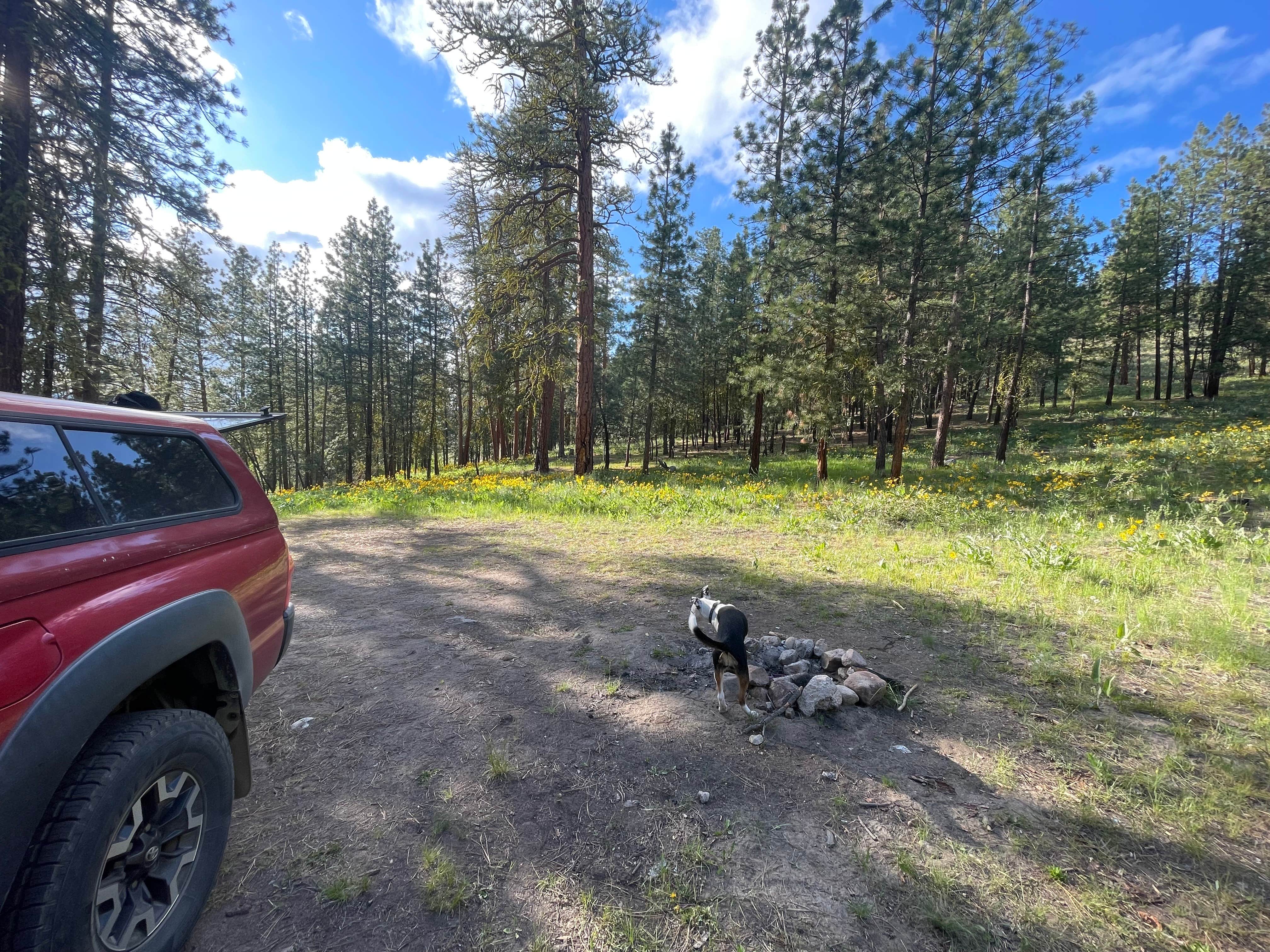 Camper-submitted photo at Sullivan Pond Camp near Lake Chelan National Recreation Area