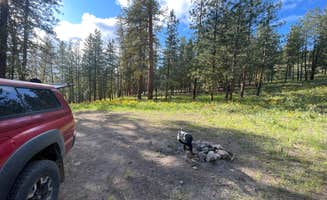 Emma T.'s photo of camping with pets at Sullivan Pond Camp near Oroville, WA