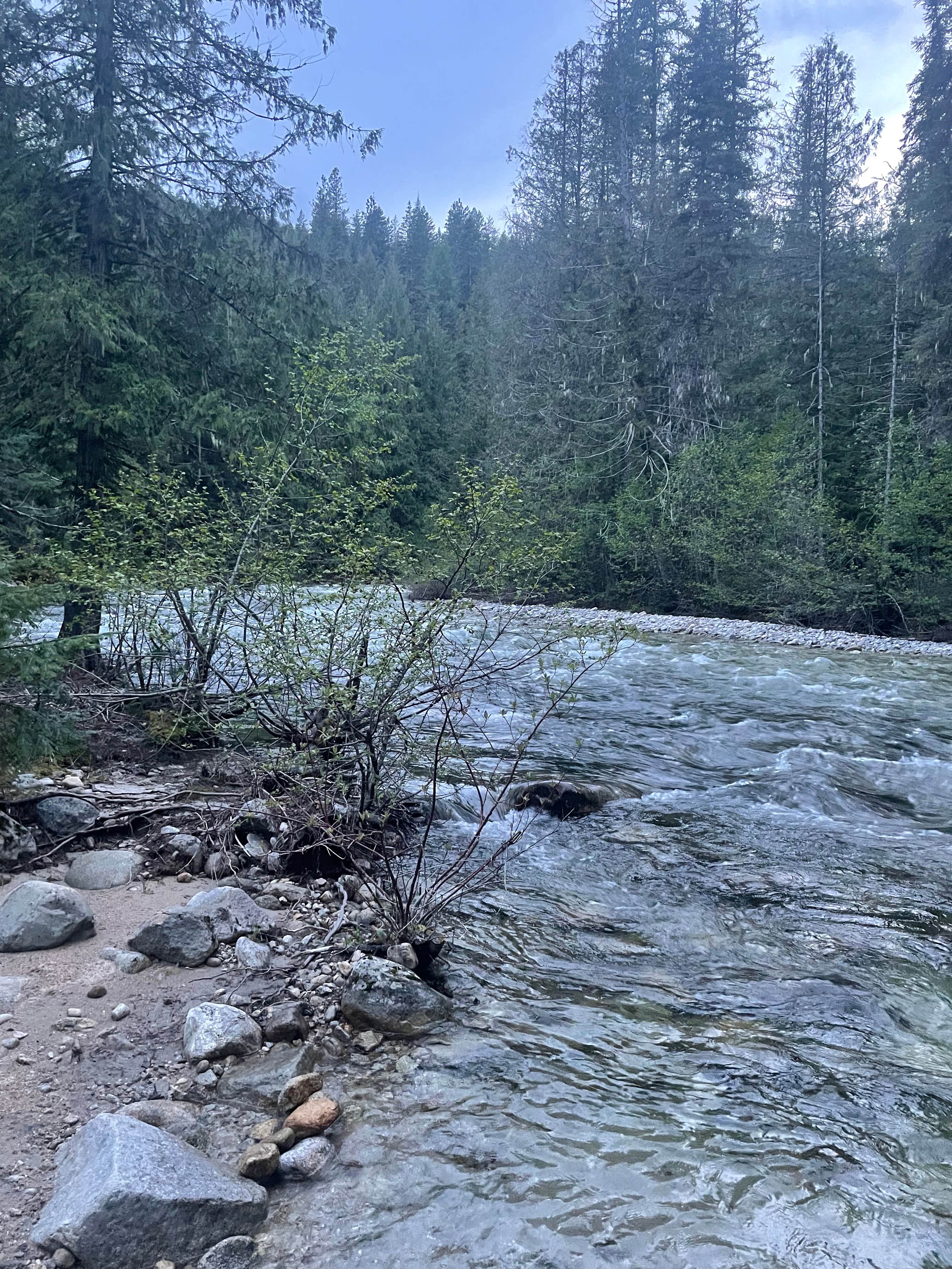 Camper submitted image from Pack River Dispersed Site - 1