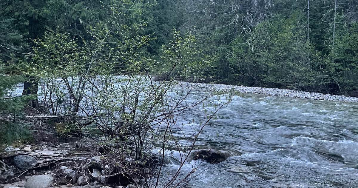 Pack River Dispersed Site