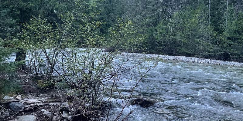 Camper submitted image from Pack River Dispersed Site