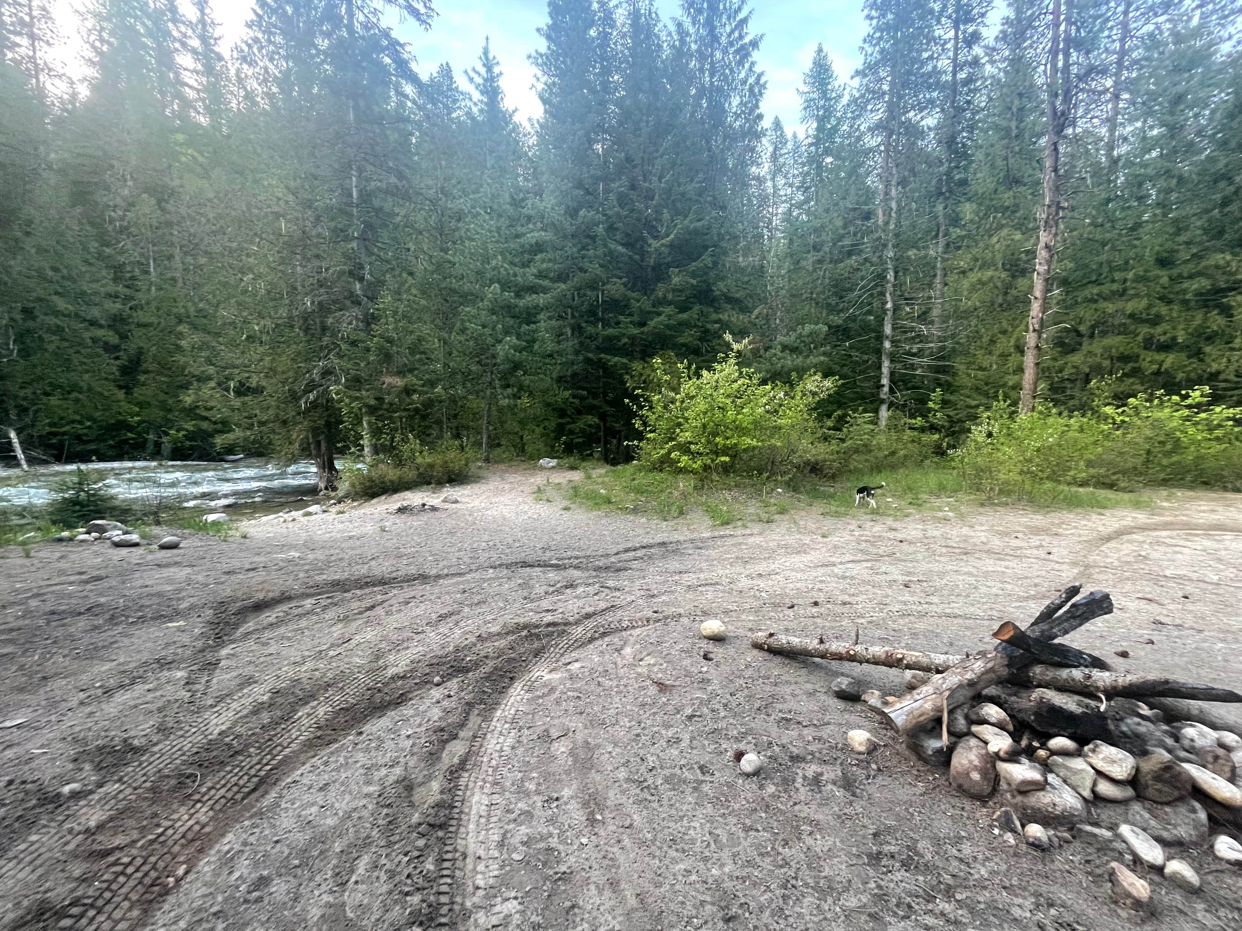 Camper submitted image from Pack River Dispersed Site - 2