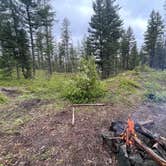 Review photo of Ryan Road Dispersed Camping by Emma T., May 29, 2025