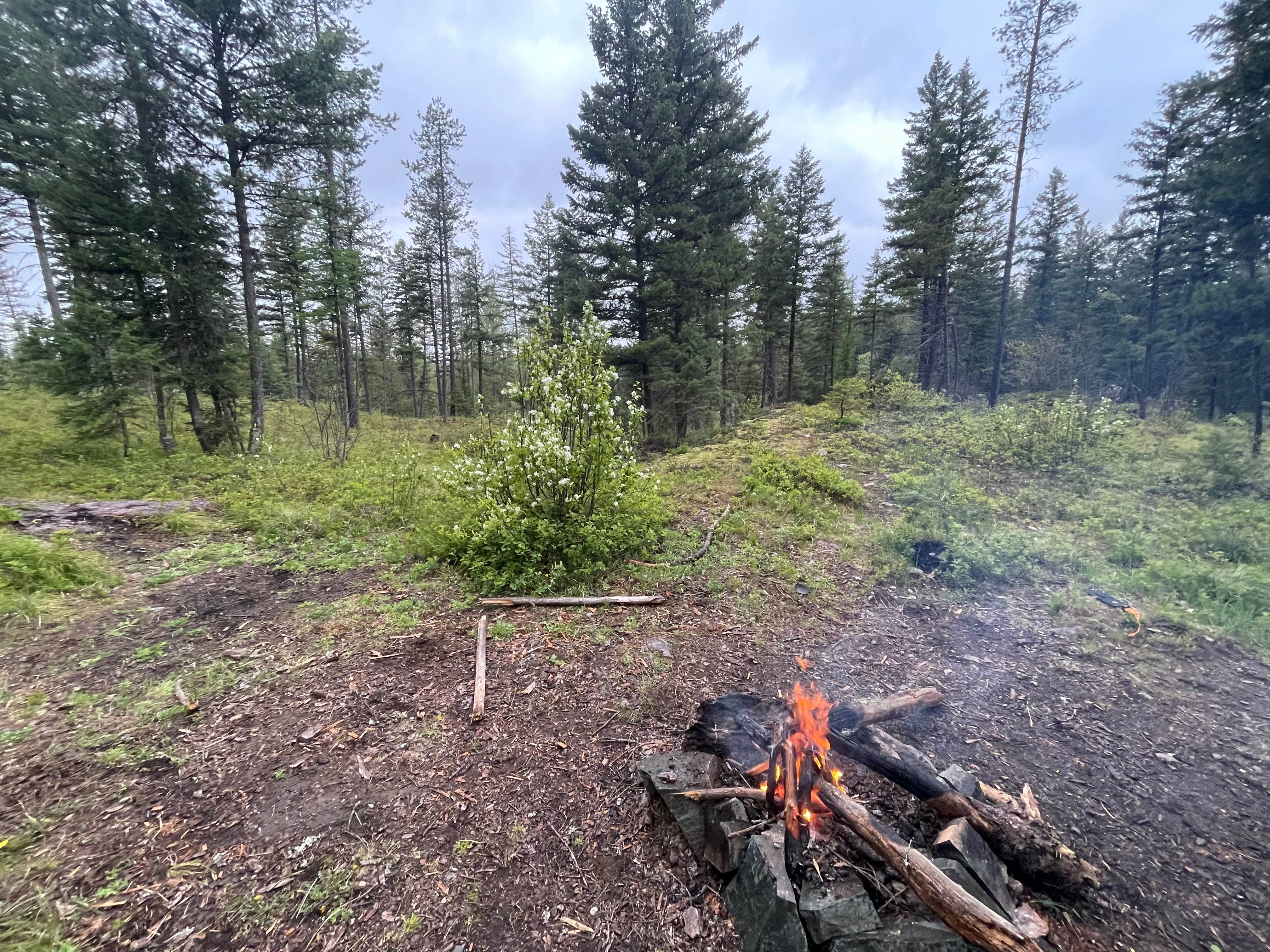 Camper submitted image from Ryan Road Dispersed Camping - 1