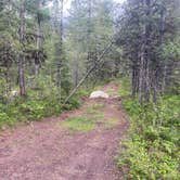 Review photo of Ryan Road Dispersed Camping by Emma T., May 29, 2025