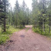 Review photo of Ryan Road Dispersed Camping by Emma T., May 29, 2025
