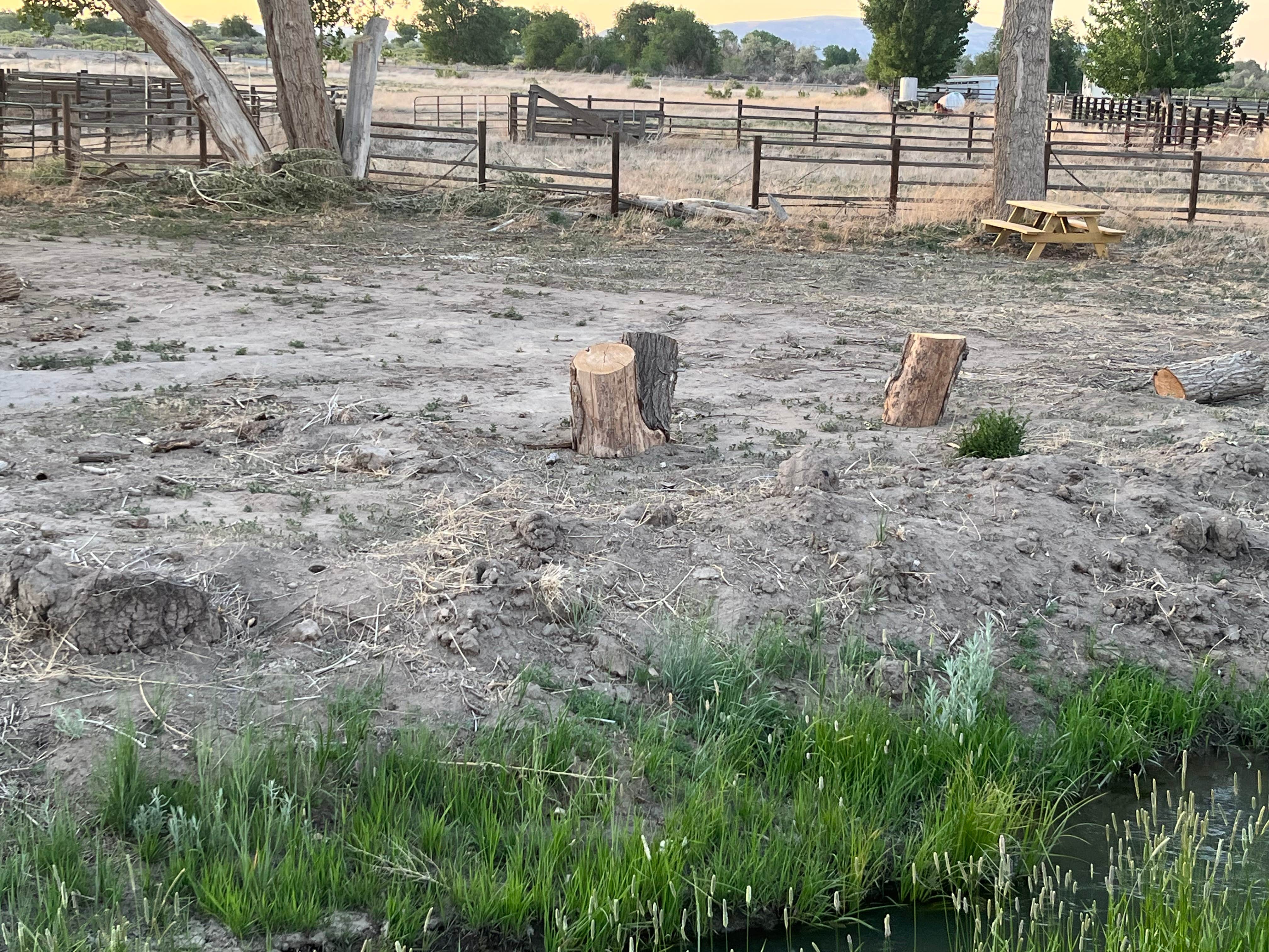 Camper-submitted photo at Historic Santosh Ranch in Yerington, NV near Yerington, NV