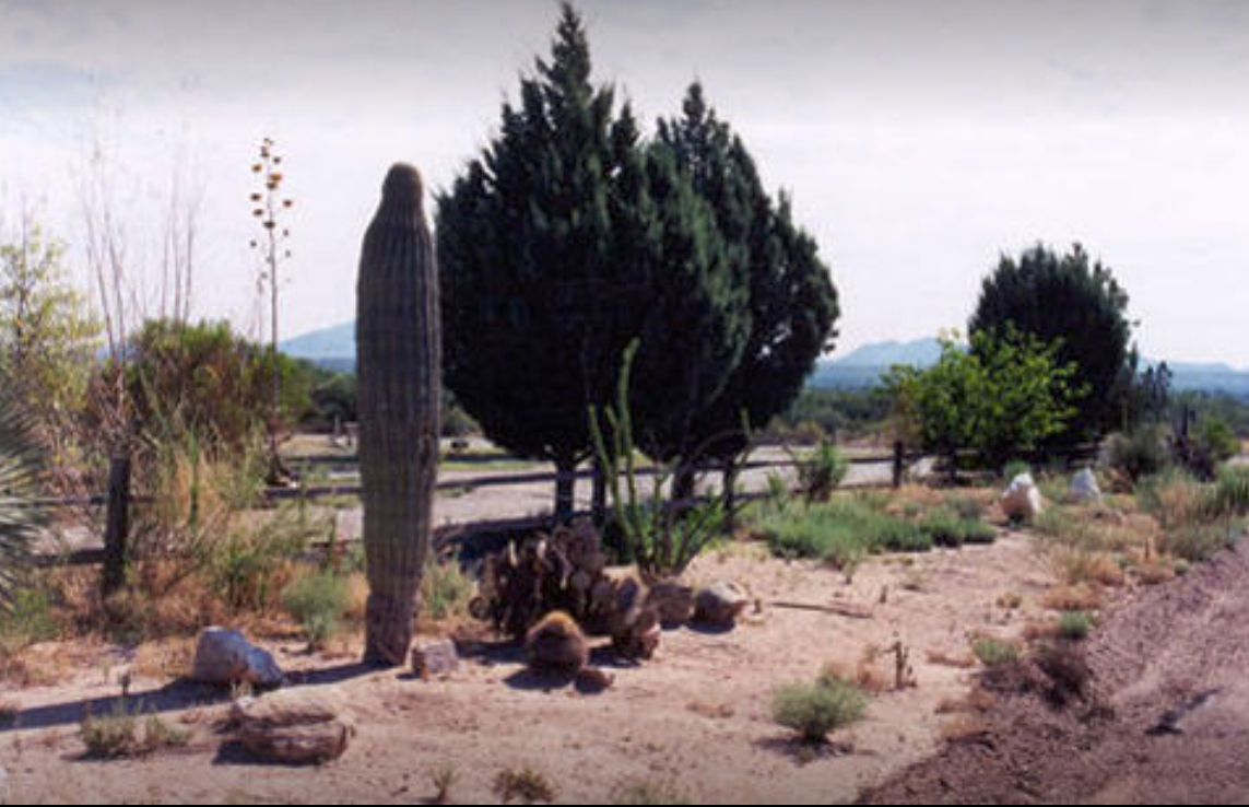 Camper-submitted photo at Benson KOA near Dragoon, AZ