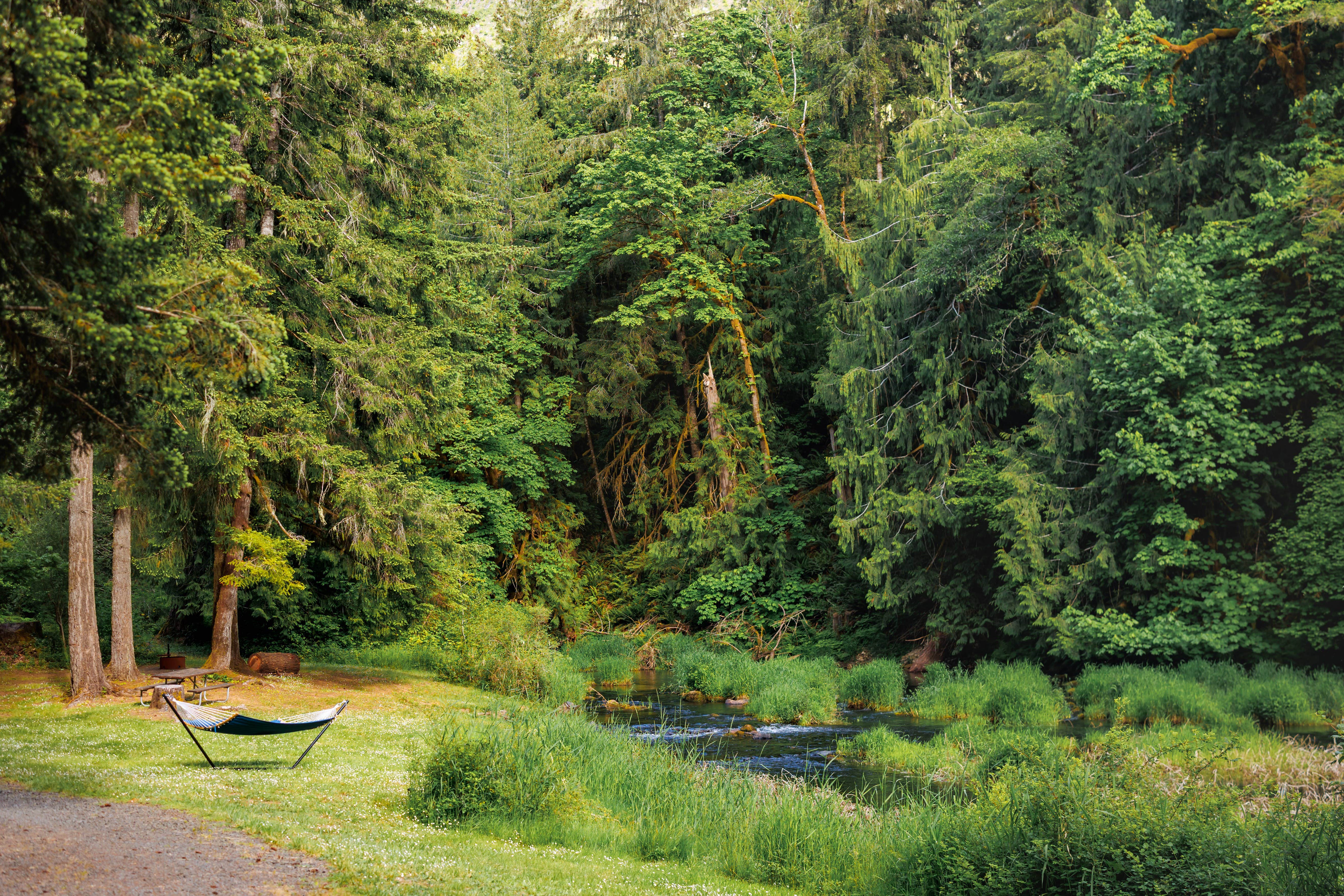 Camping near Alsea Falls: Creekside Retreat at Triangle Lake, Blachly, Oregon