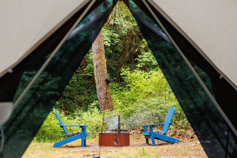 Camper-submitted photo at Creekside Retreat at Triangle Lake near Veneta, OR