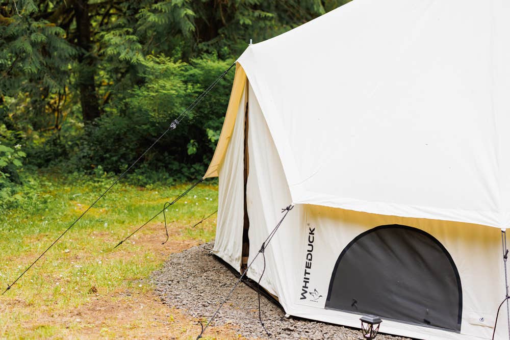 Camper-submitted photo at Creekside Retreat at Triangle Lake near Veneta, OR