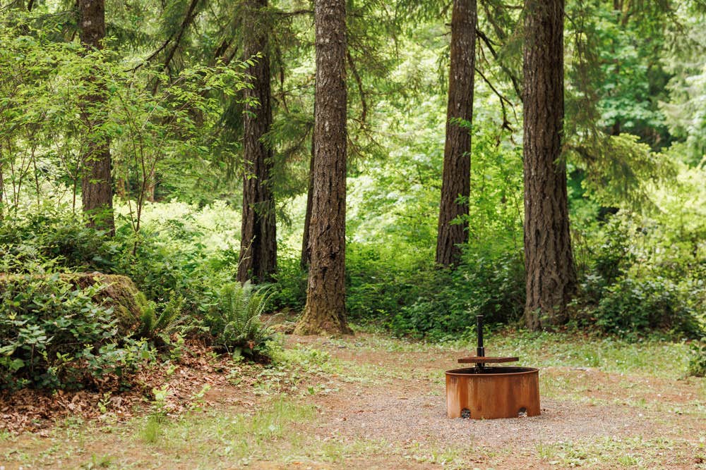 Camper-submitted photo at Creekside Retreat at Triangle Lake near Veneta, OR