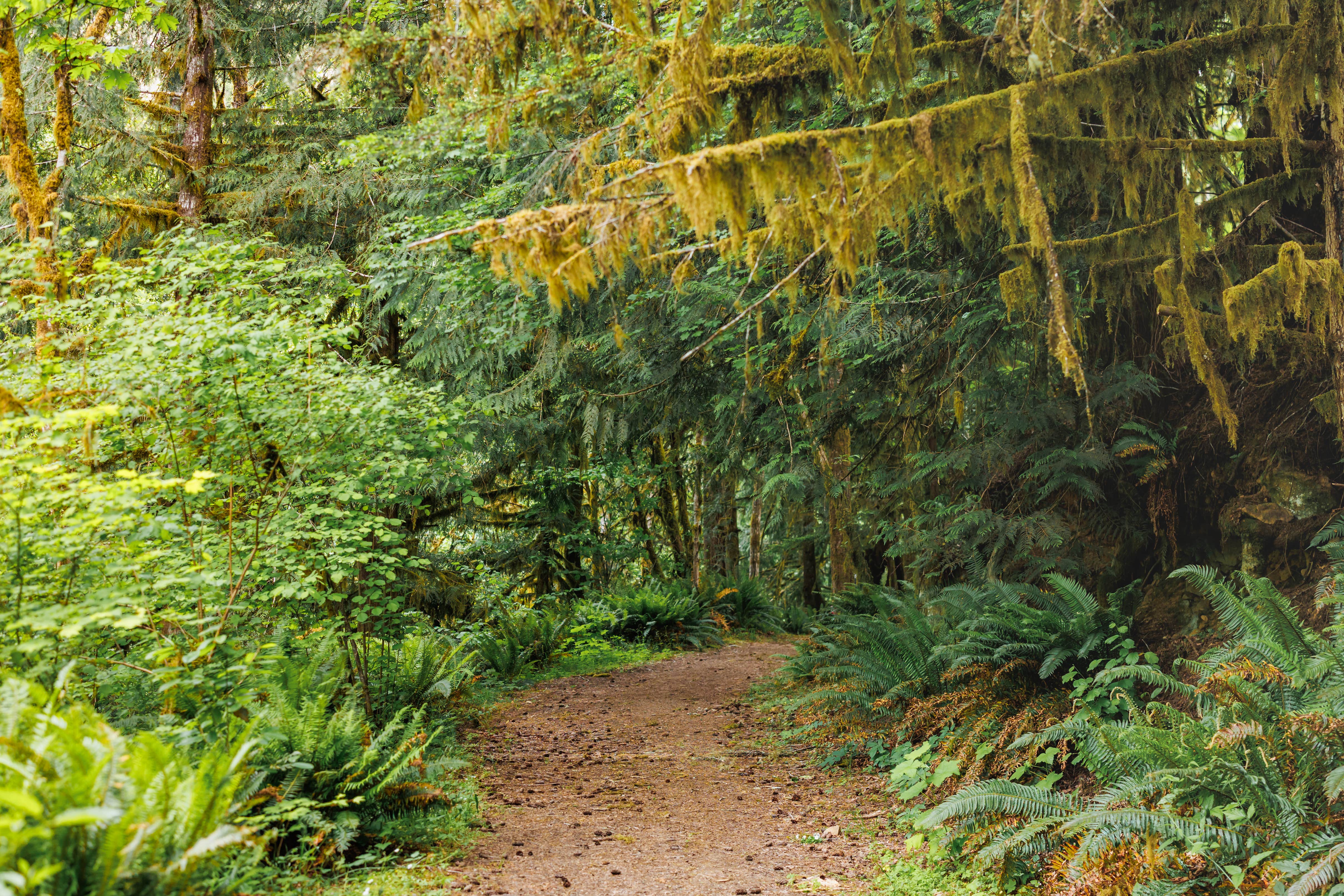 Camper-submitted photo at Creekside Retreat at Triangle Lake near Walton, OR