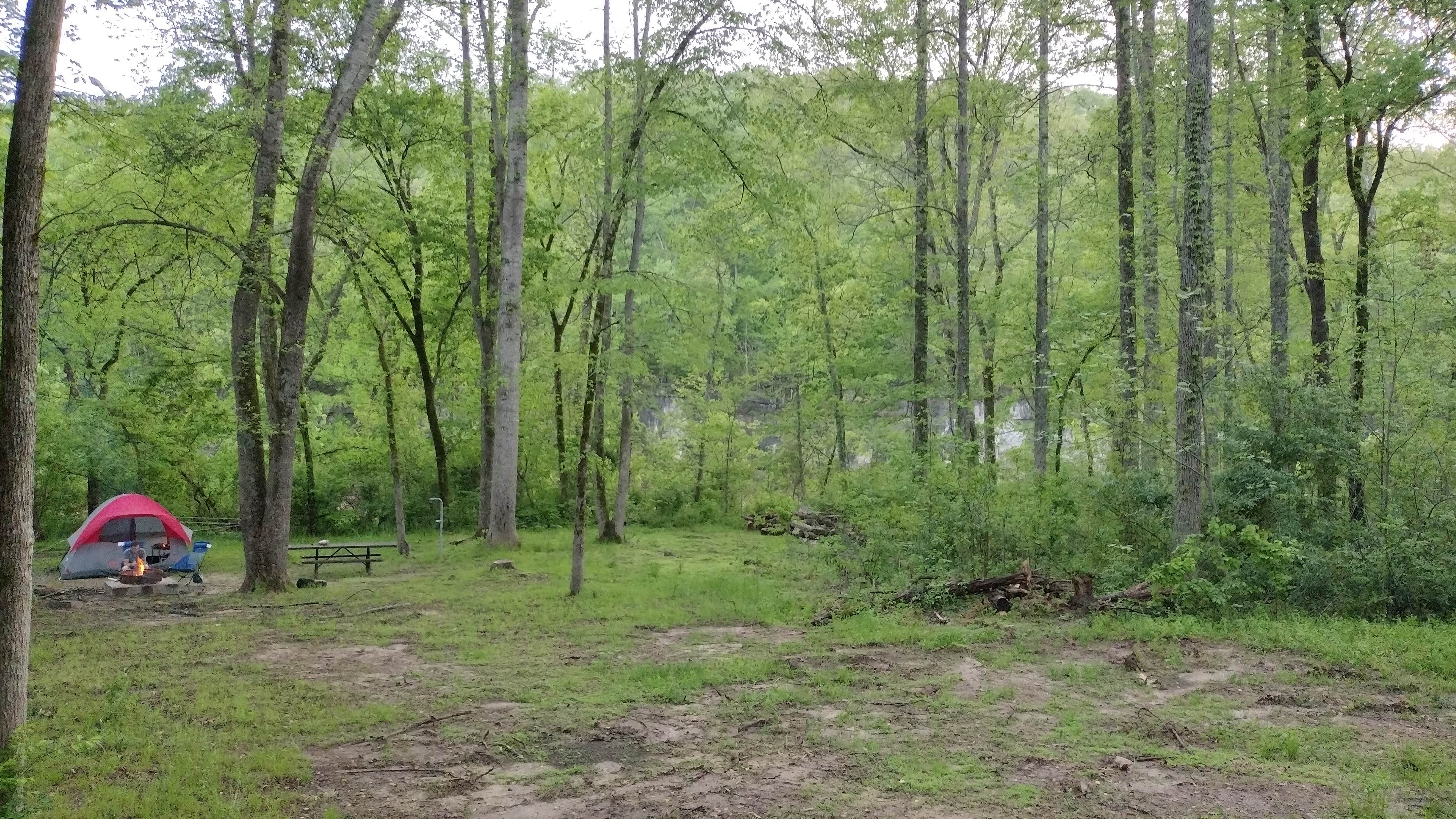 Erin-Frannie R.'s photo at North Fork near Gamaliel, AR