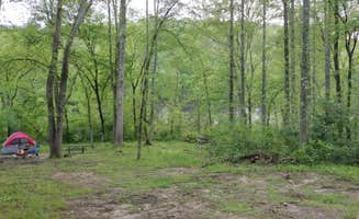 Erin-Frannie R.'s photo at North Fork near Thayer, MO