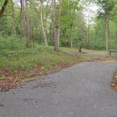 Review photo of North Fork by Erin-Frannie R., May 30, 2025