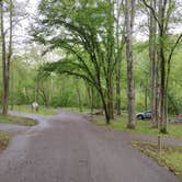 Review photo of North Fork by Erin-Frannie R., May 30, 2025