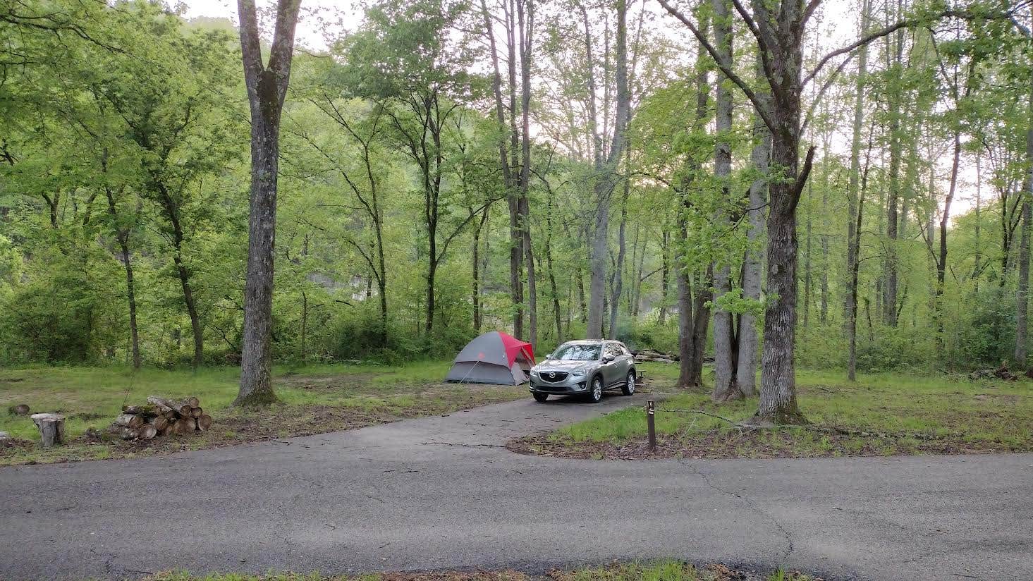 Erin-Frannie R.'s photo at North Fork near Salem, AR