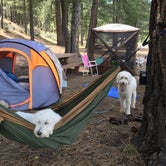 Review photo of Lower Little Truckee by Gwen K., July 25, 2019