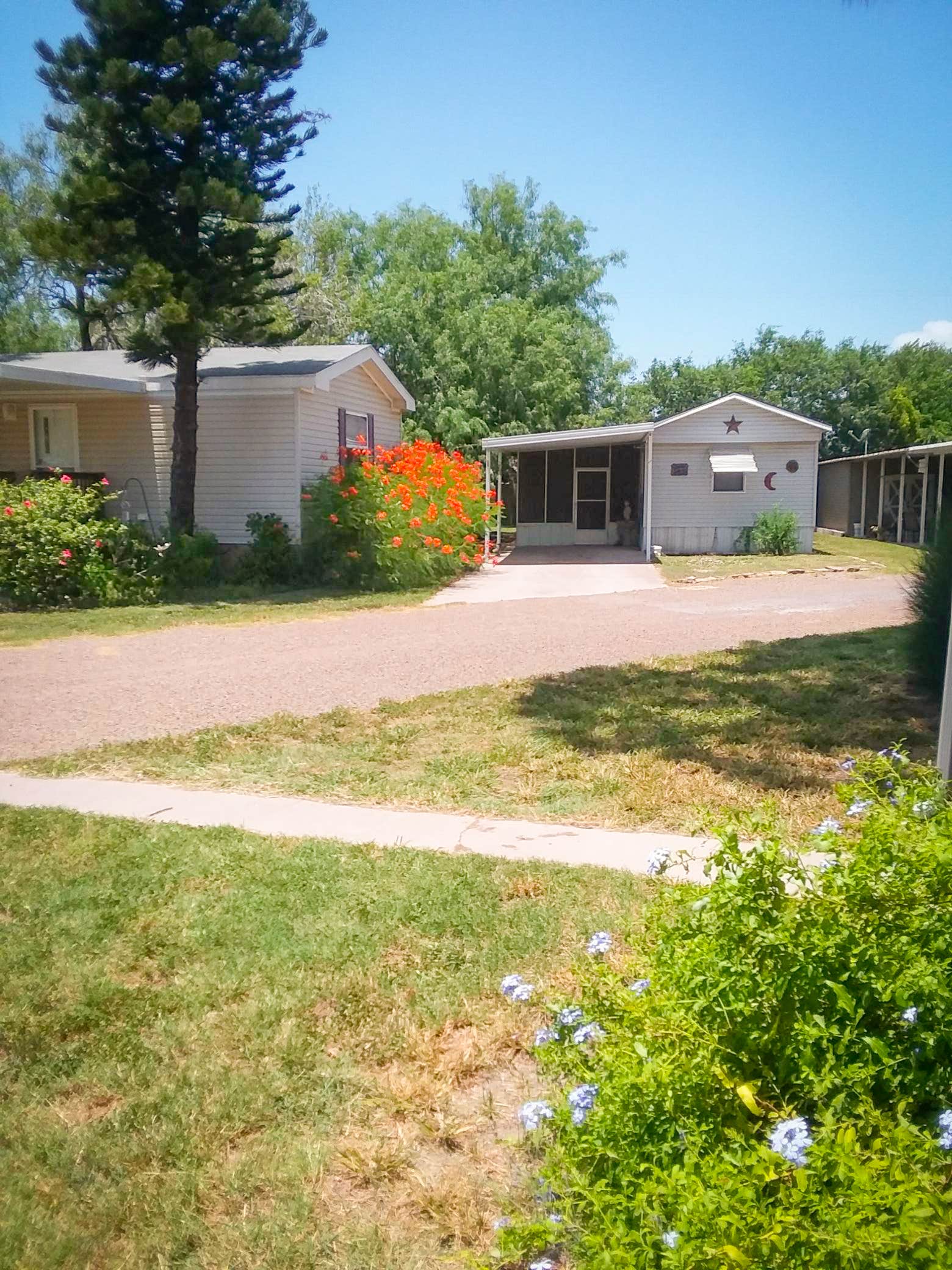 Camper-submitted photo at The Fig Tree RV Resort near Harlingen, TX