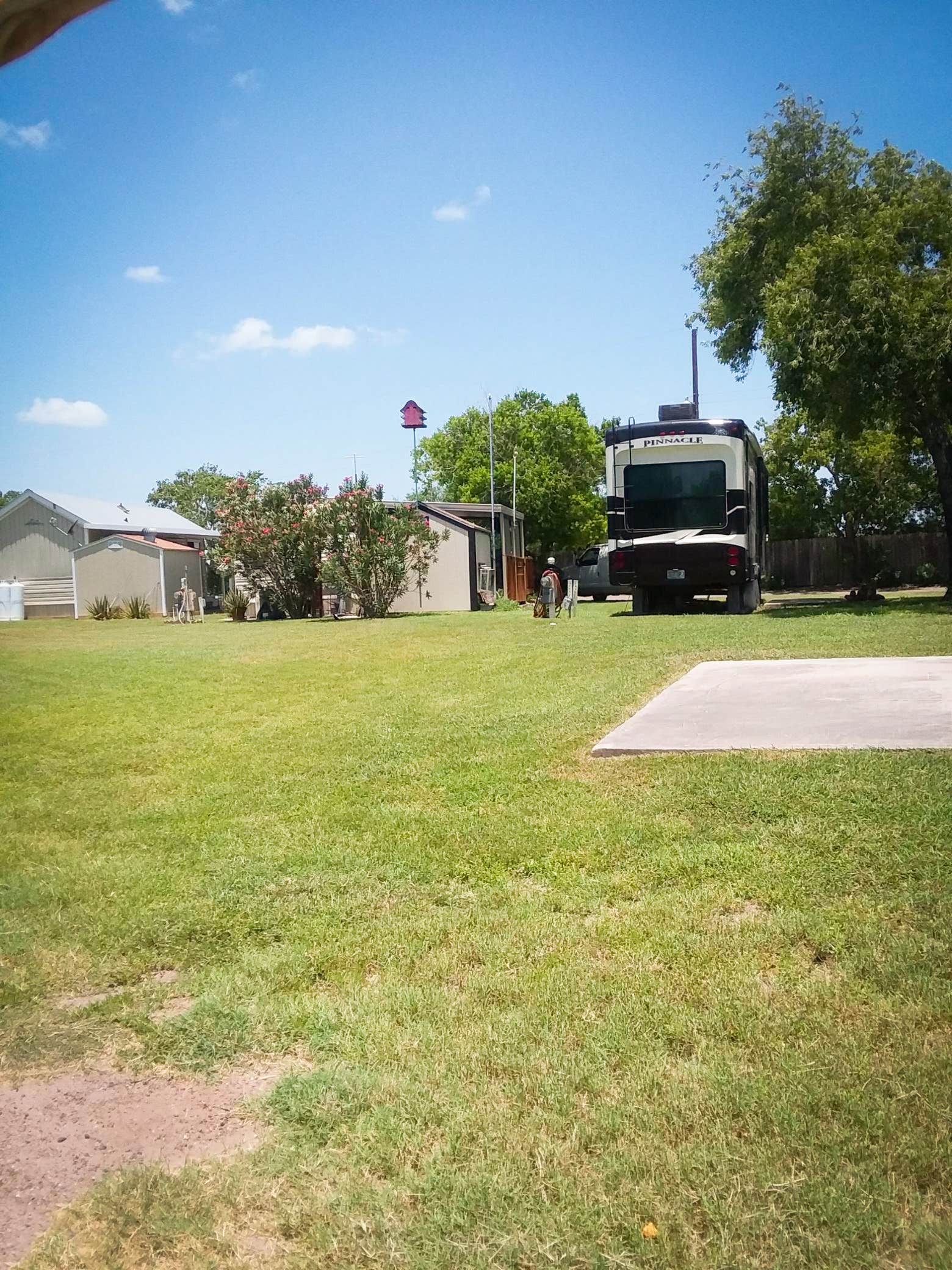 Camper-submitted photo at The Fig Tree RV Resort near Harlingen, TX