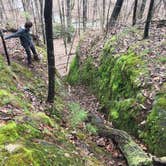 Review photo of Shawnee State Park Campground by Kelsey H., September 21, 2016