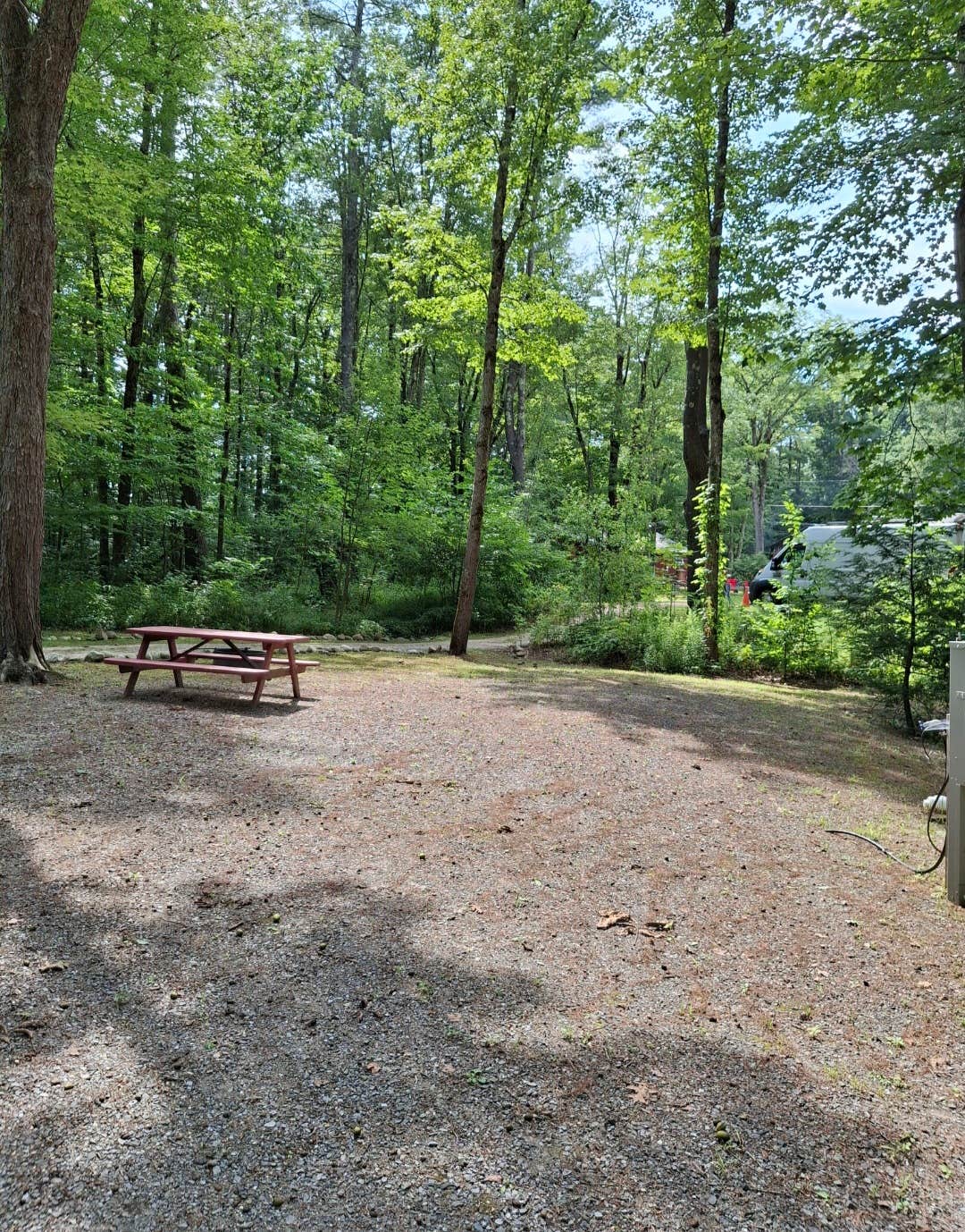 Camper-submitted photo at Wellington Camping Park near Dover, NH