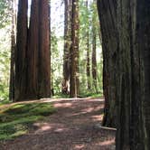 Review photo of Redcrest Resort by Greg K., June 1, 2025