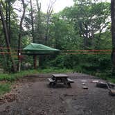 Review photo of Clarence Fahnestock State Park Campground by Asher K., June 6, 2016