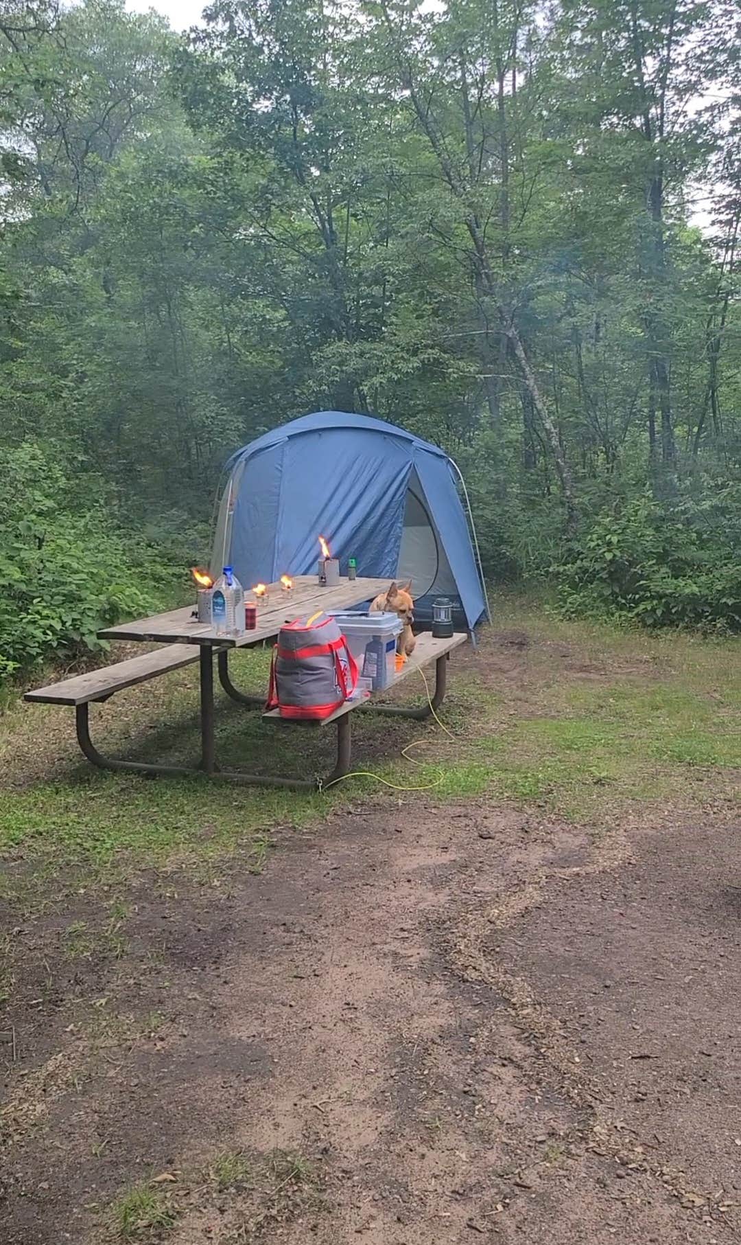 Tori K.'s photo at Old Logging Trail — St. Croix State Park near Hinckley, MN