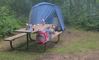 Tori K.'s photo at Old Logging Trail Campground — St. Croix State Park near Saint Croix National Scenic River