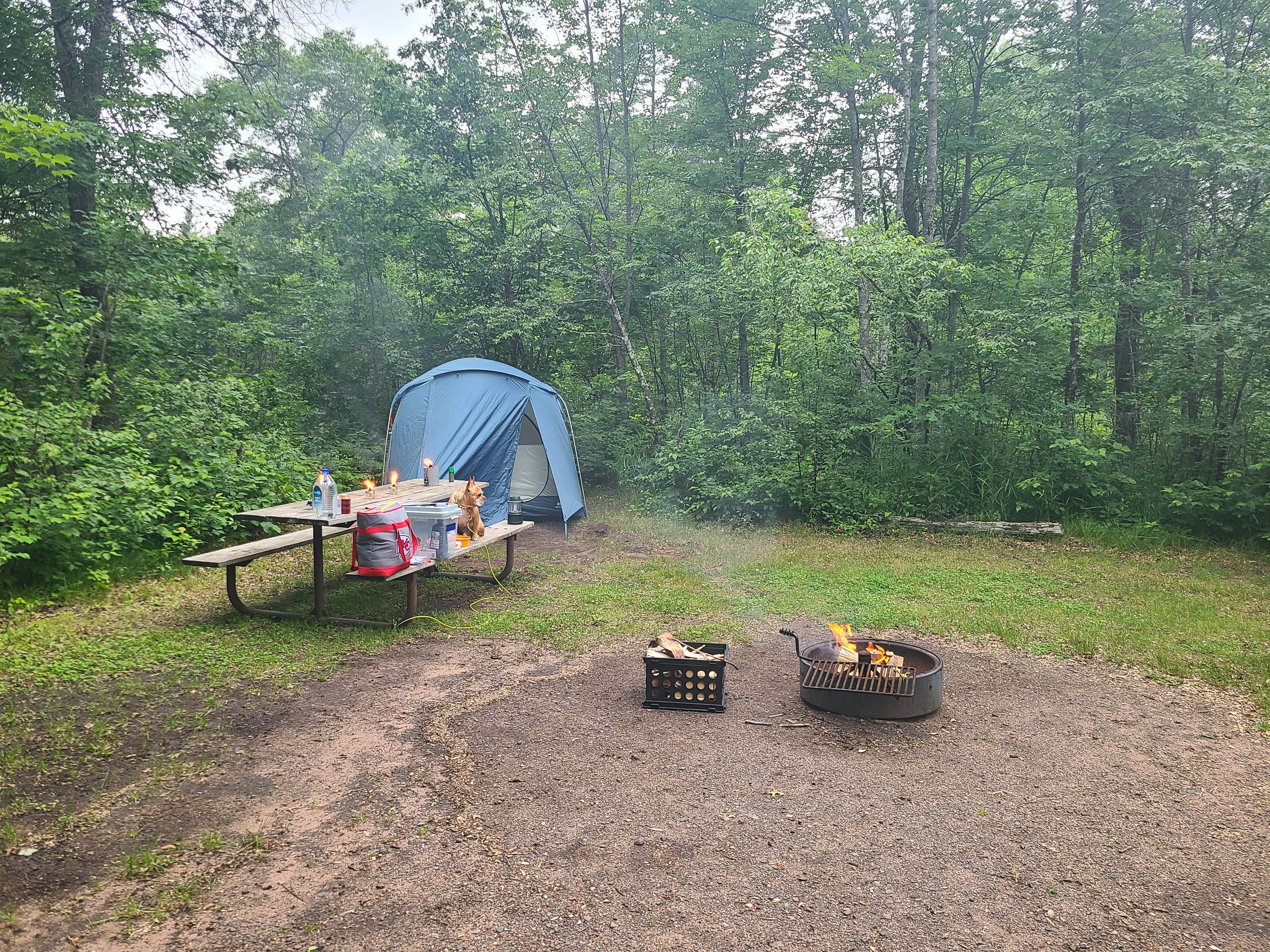 Tori K.'s photo at Old Logging Trail Campground — St. Croix State Park near Saint Croix National Scenic River