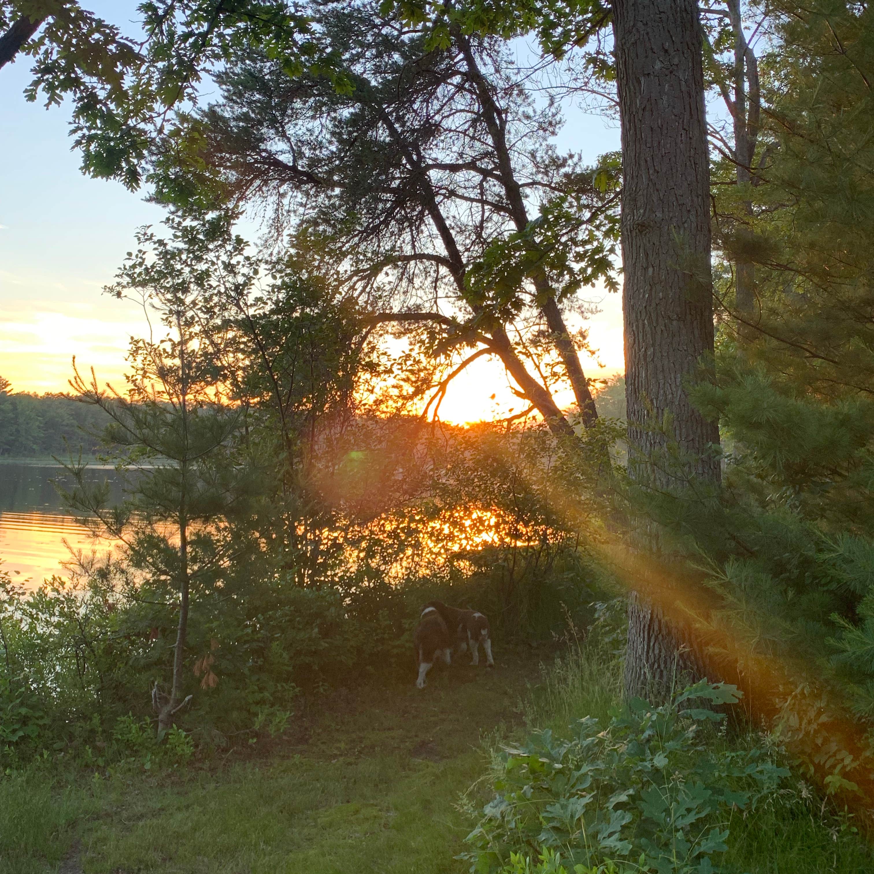 Escape to Tranquility: Your Guide to Michigan's Ambrose Lake Campground