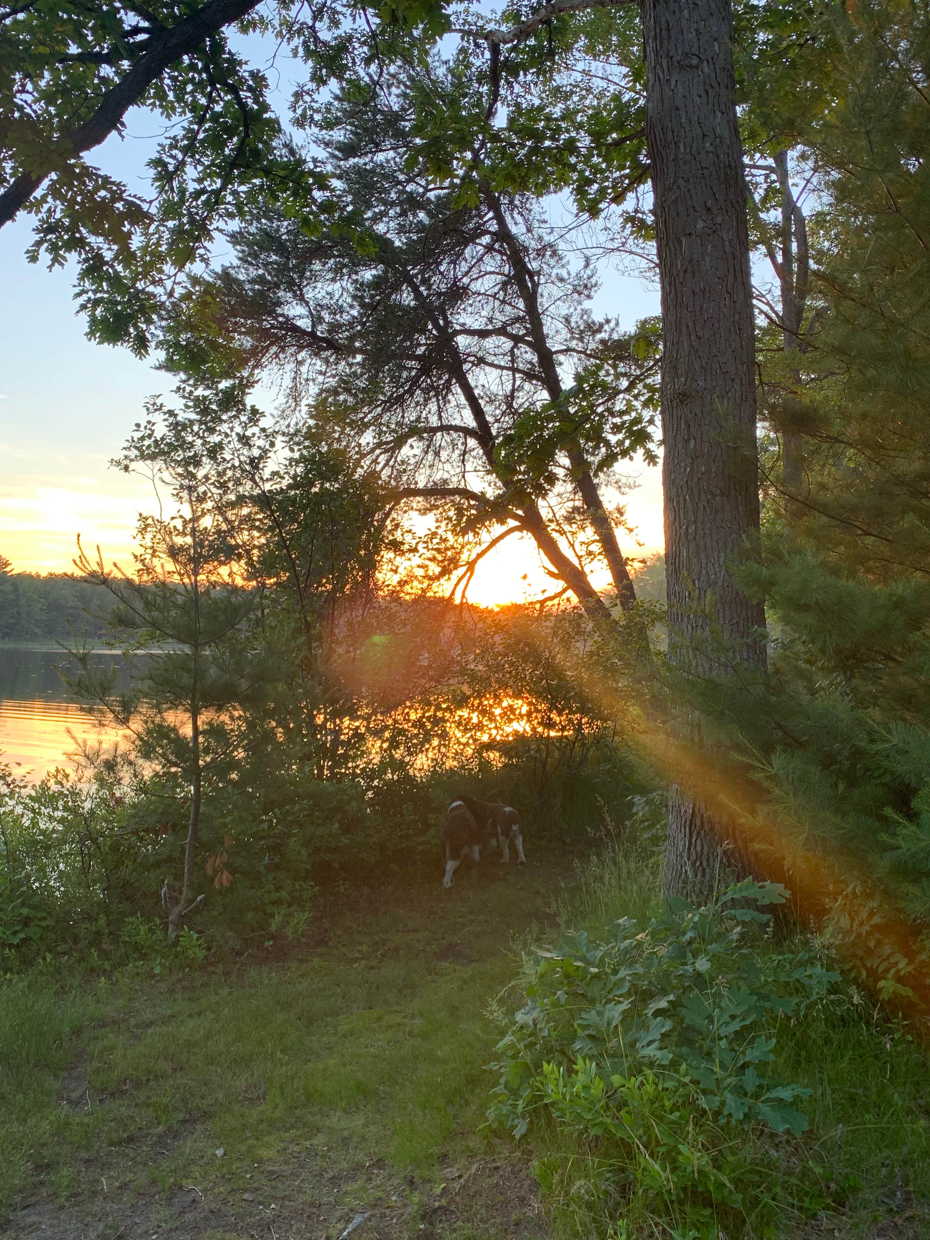 Camper-submitted photo at Ambrose Lake State Forest Campground near Lupton, MI