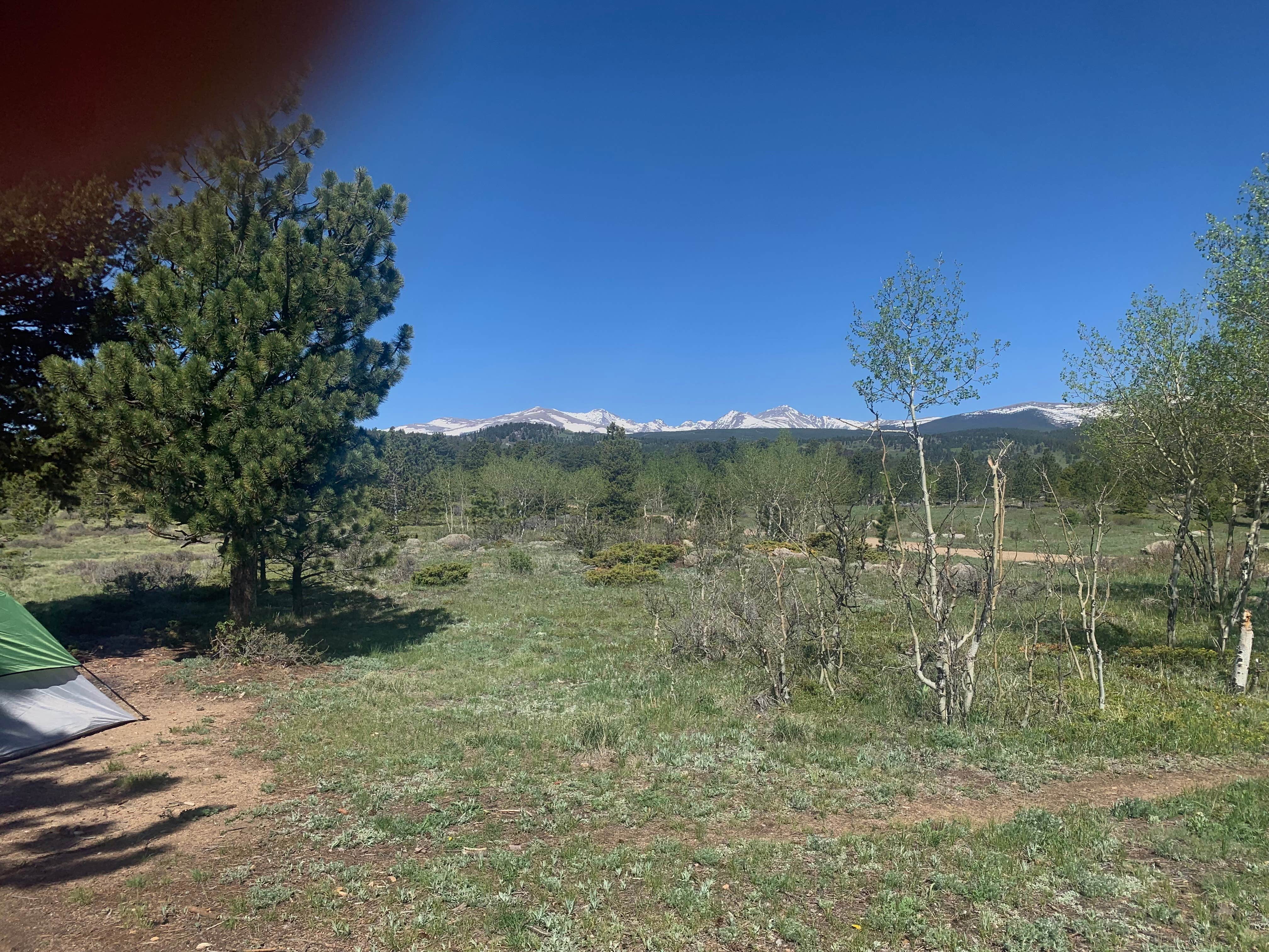 Amara K.'s photo of tent camping at Sugarloaf Road Camp near Boulder, CO