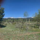 Review photo of Sugarloaf Road Camp by Amara K., June 1, 2025