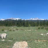 Review photo of Sugarloaf Road Camp by Amara K., June 1, 2025