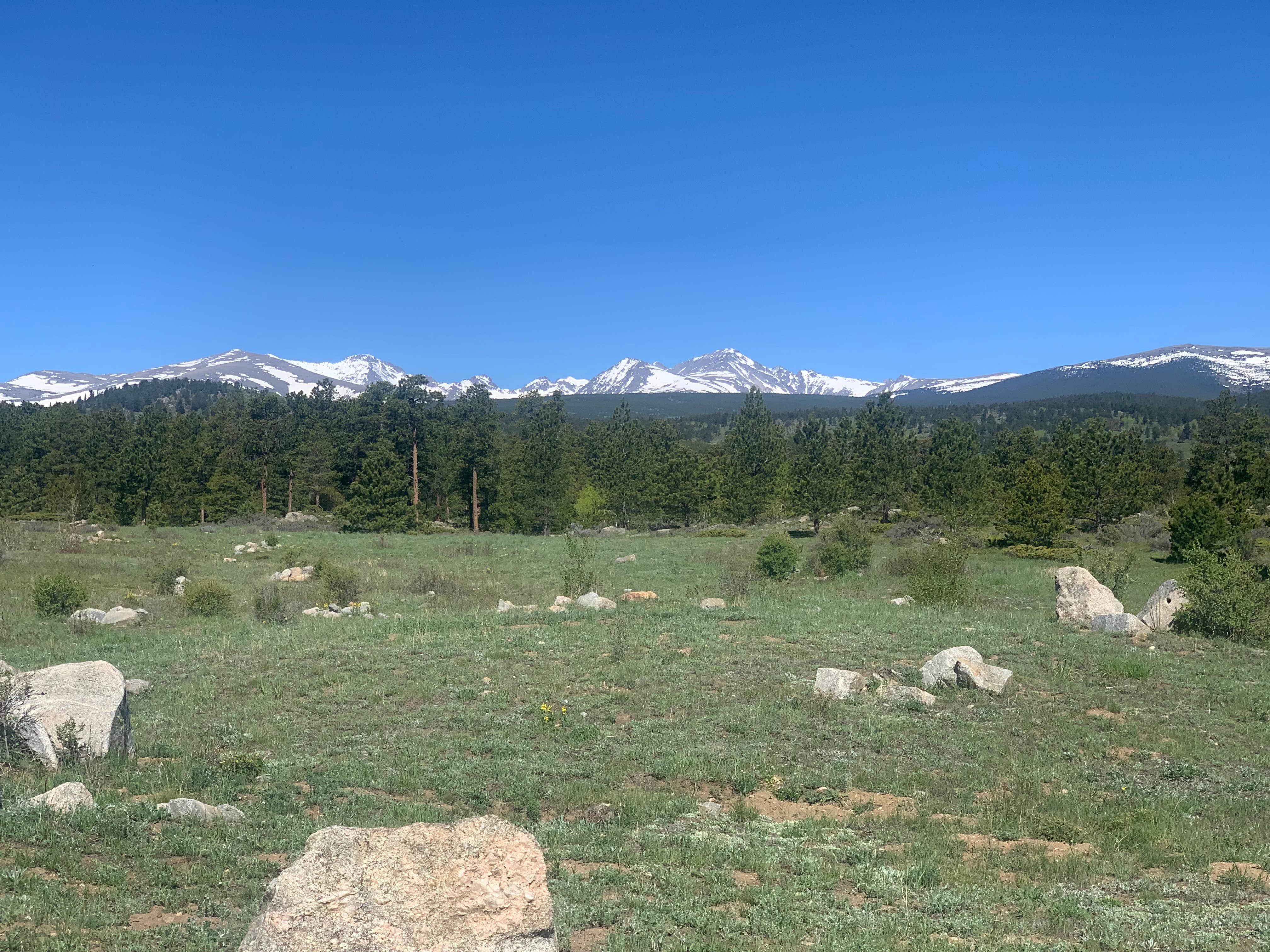 Camper submitted image from Sugarloaf Road Camp - 3
