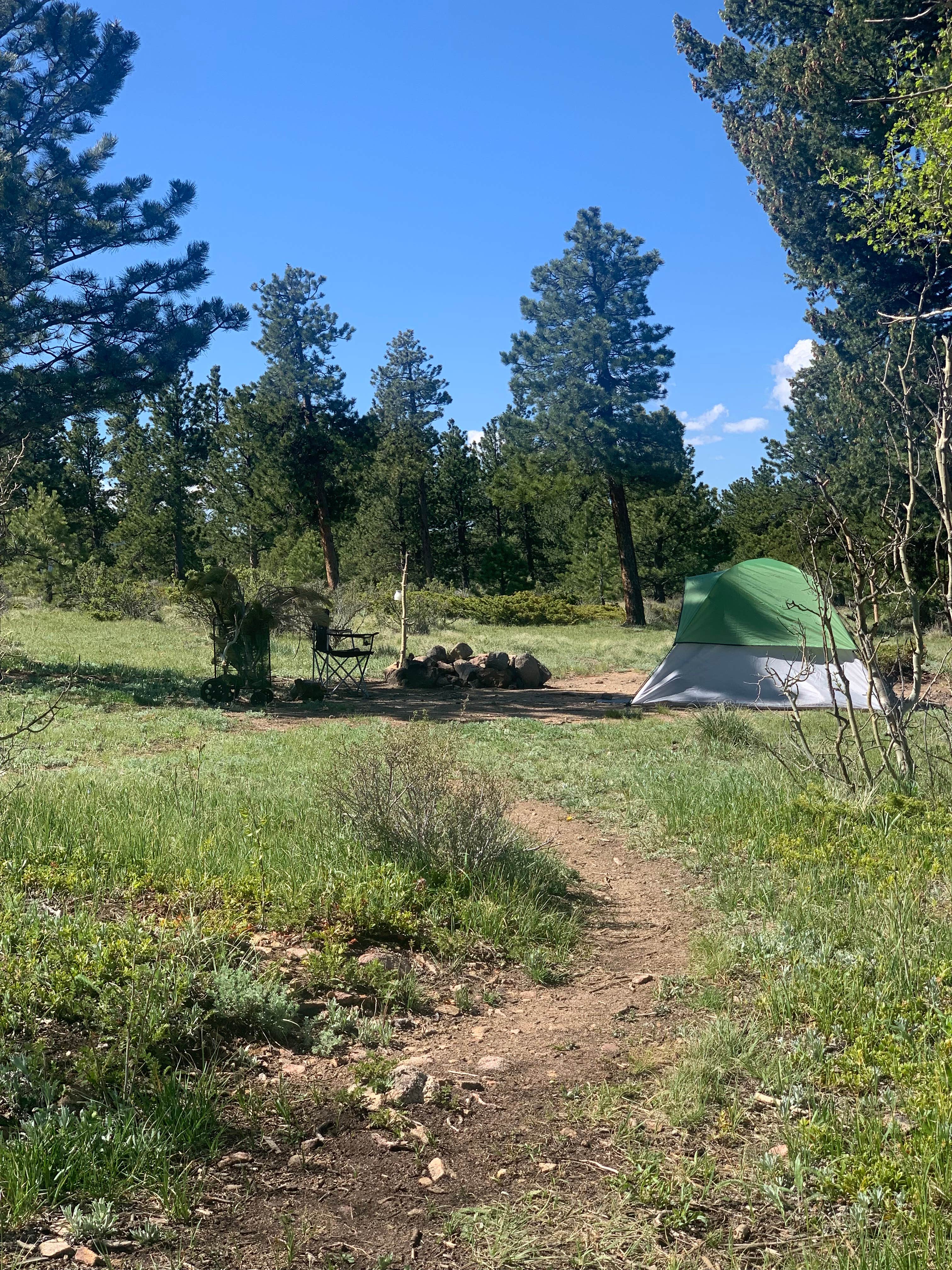 Camping near Forest Road 332 Dispersed: Sugarloaf Road Camp, Nederland, Colorado
