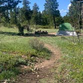 Review photo of Sugarloaf Road Camp by Amara K., June 1, 2025
