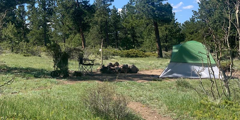 Camper submitted image from Sugarloaf Road Camp