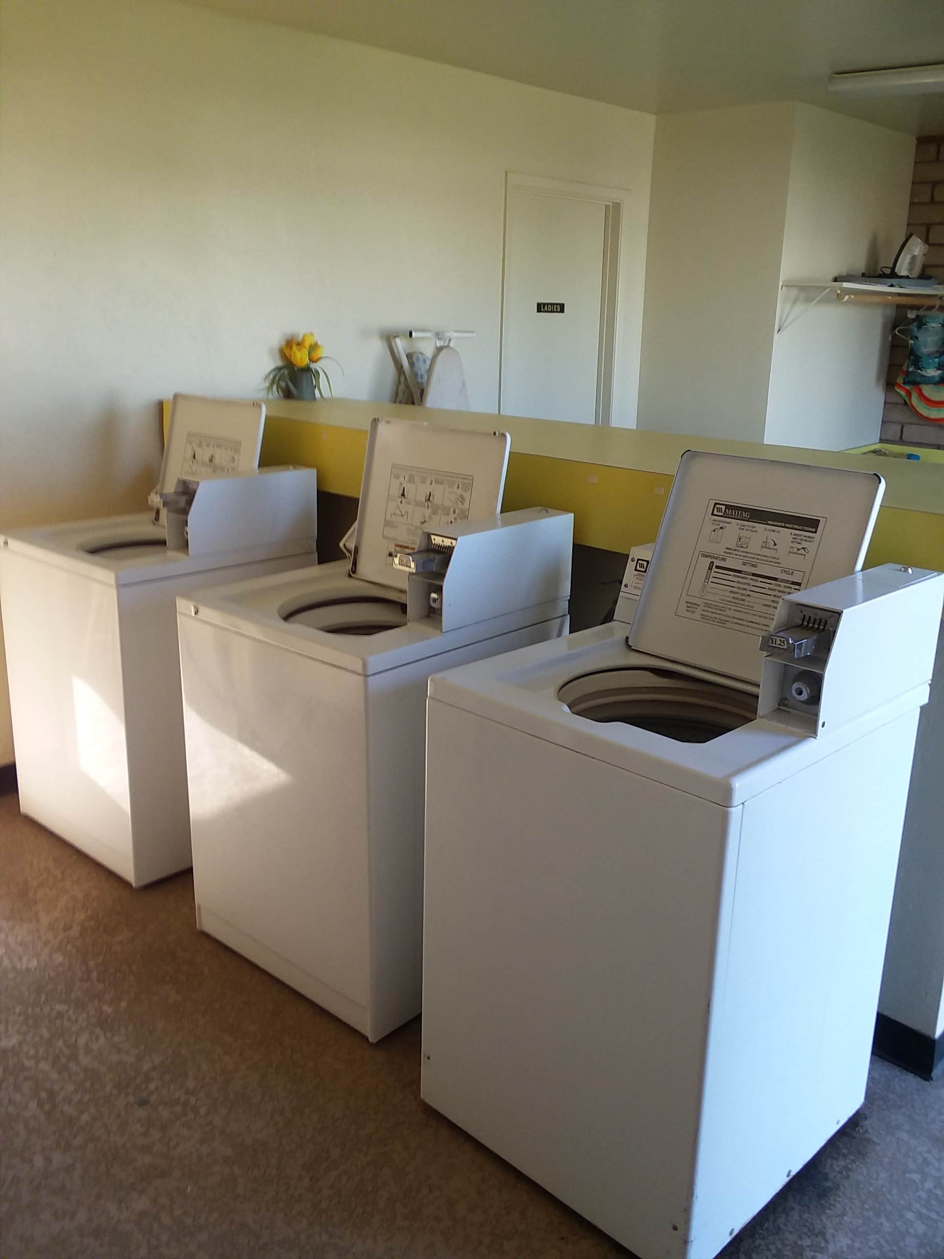 Camper-submitted photo at Garden Oasis RV Park near Calexico, CA